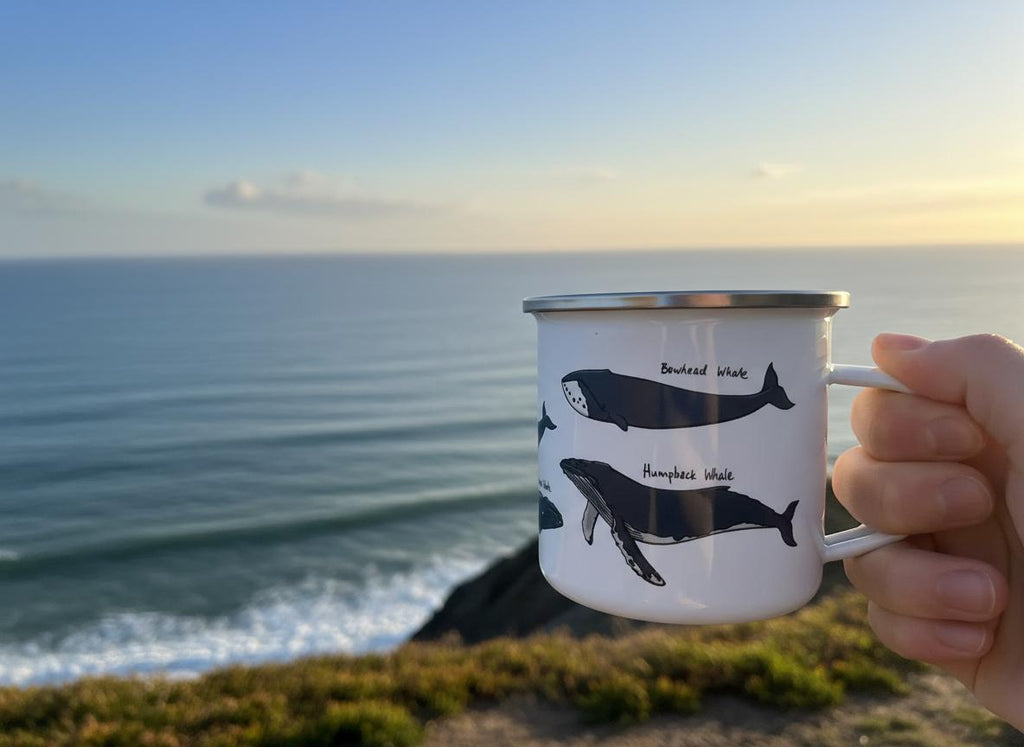 Hand holding the Whale Species enamel mug against a coastal sunset over the sea.