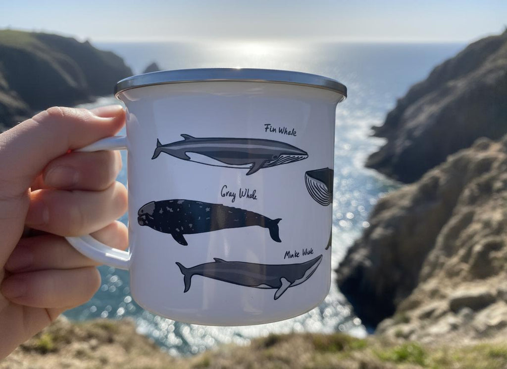 A white enamel mug with a silver rim featuring illustrations of various whale species including a Fin Whale, Gray Whale, and Minke Whale, each labelled with its common name in black text against the white background of the mug.