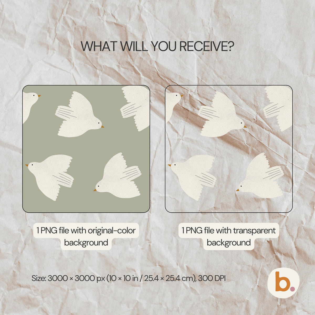 A digital graphic featuring the text WHAT WILL YOU RECEIVE? above two square panels displaying a white bird pattern. One panel has a sage green background, the other is transparent. Text labels indicate 1 PNG file each, size 3000 x 3000 px (25.4 x 25.4 cm), 300 DPI.