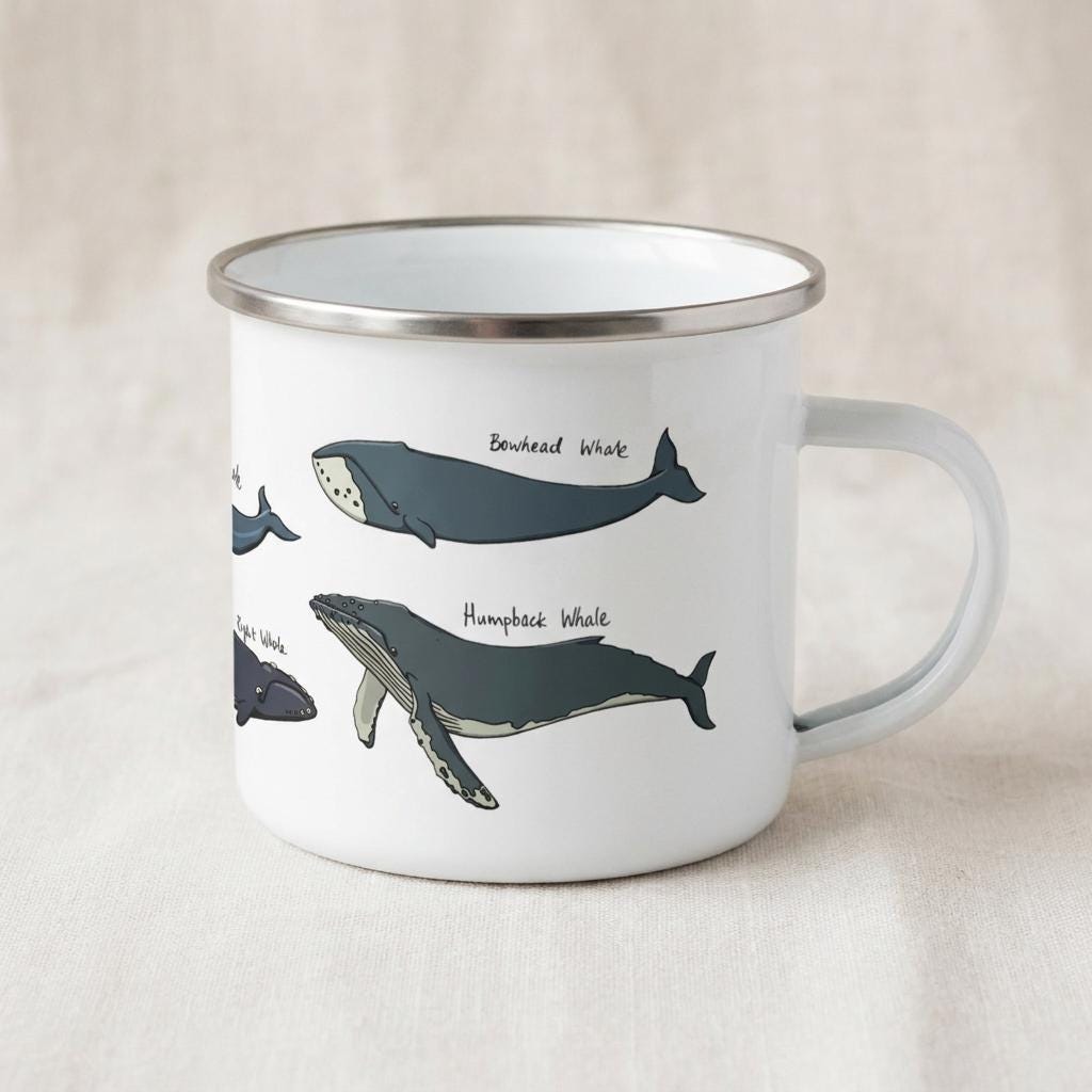 A white enamel mug with a silver rim and handle, featuring illustrations of various whales. The design includes a Bowhead Whale and a Humpback Whale, each labelled with its name in black text, along with other partial whale illustrations.