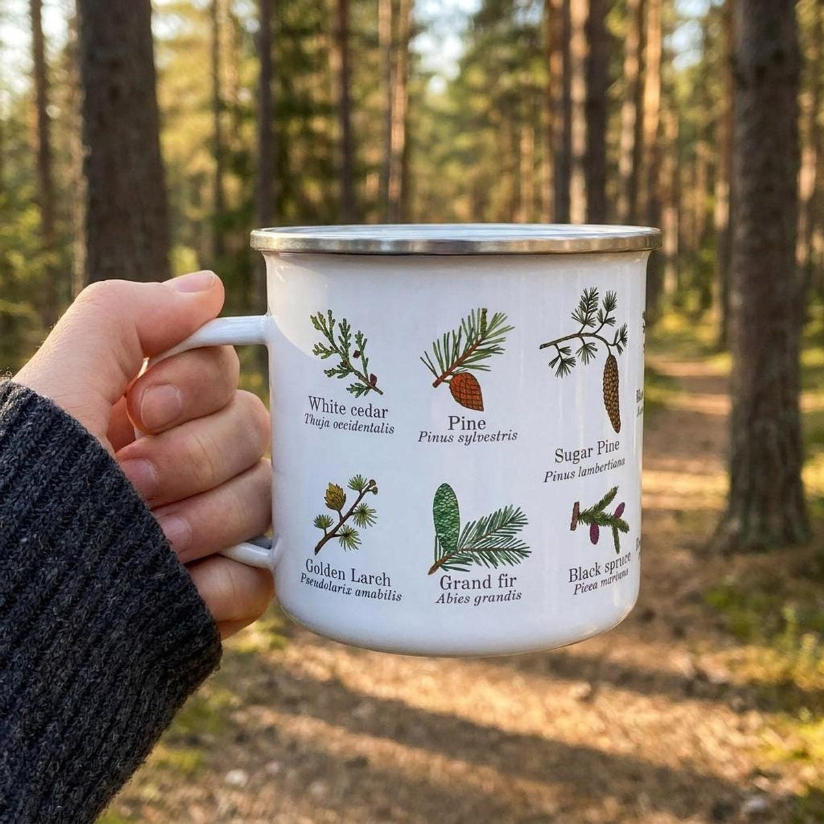 A hand holds a white enamel mug featuring botanical illustrations of conifer species against a blurred forest background.