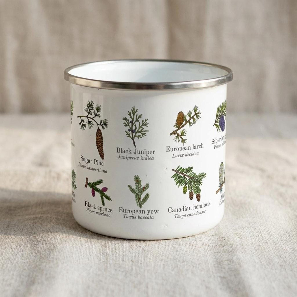 A close-up shot of the white enamel mug shows different conifer species illustrations including black spruce, European yew, and Canadian hemlock.