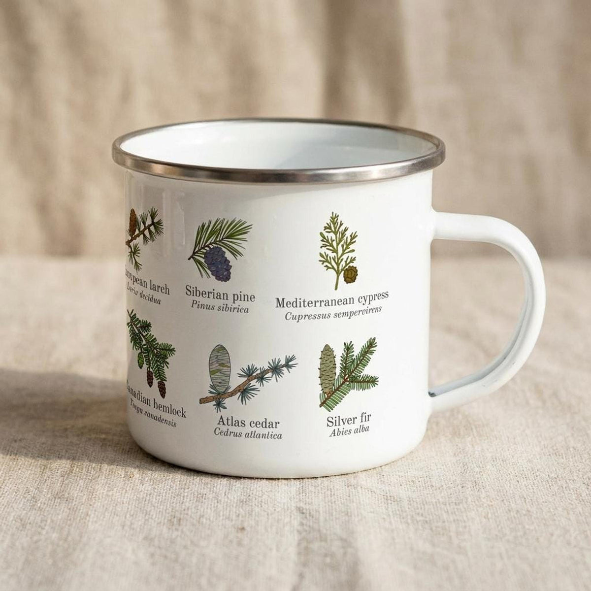 The white enamel mug is angled to show illustrations of Mediterranean cypress, Siberian pine, and silver fir.