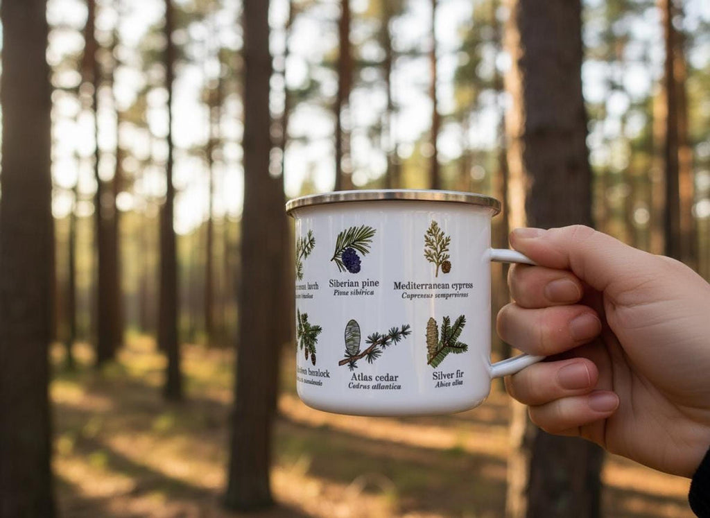 A hand holds the white mug in a forested setting, showcasing illustrations of Siberian pine and Mediterranean cypress.