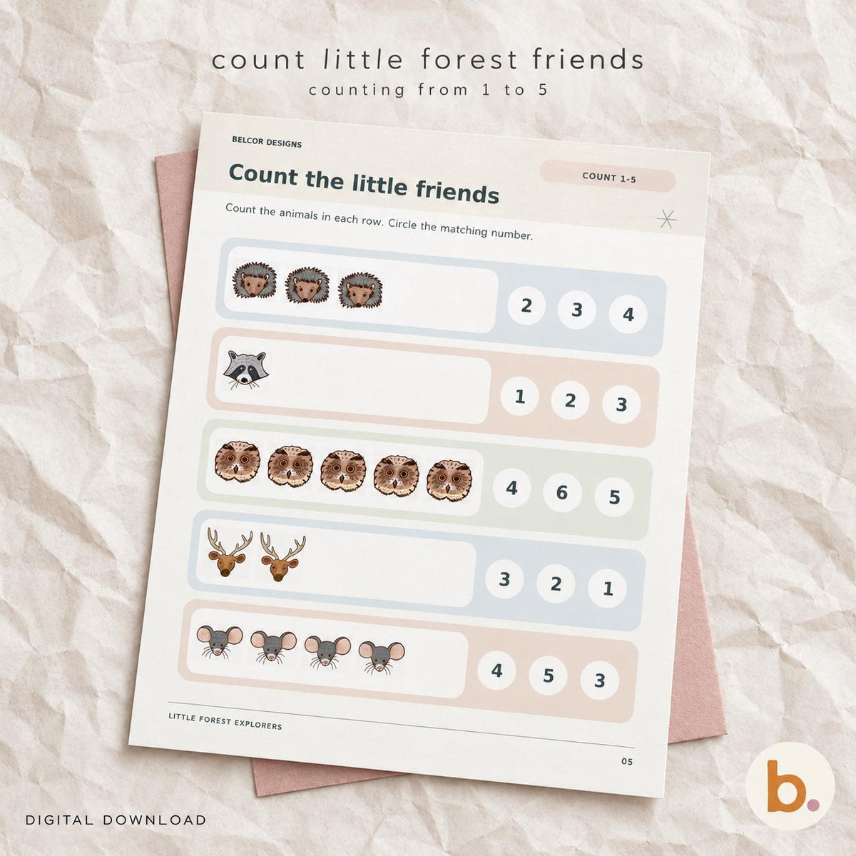 Little Forest Explorers Activity Pack